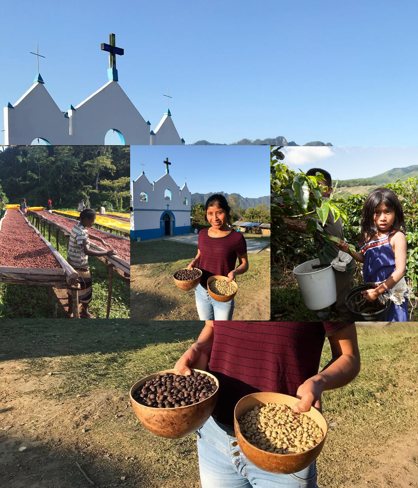 Coffee from Central America and Southern Mexico